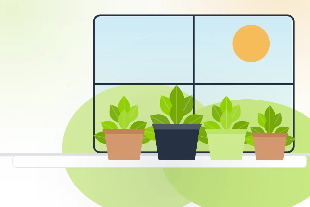 Best indoor herbs to grow on a windowsill in the UK: pots of basil, mint and thyme on a bright kitchen windowsill catching the sun