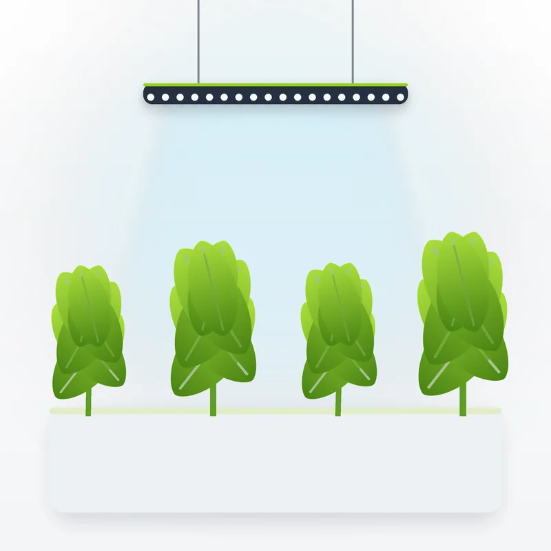 LED grow light running cost in the UK: Metro Farms seedling grow-light kit illuminating a tray of greens