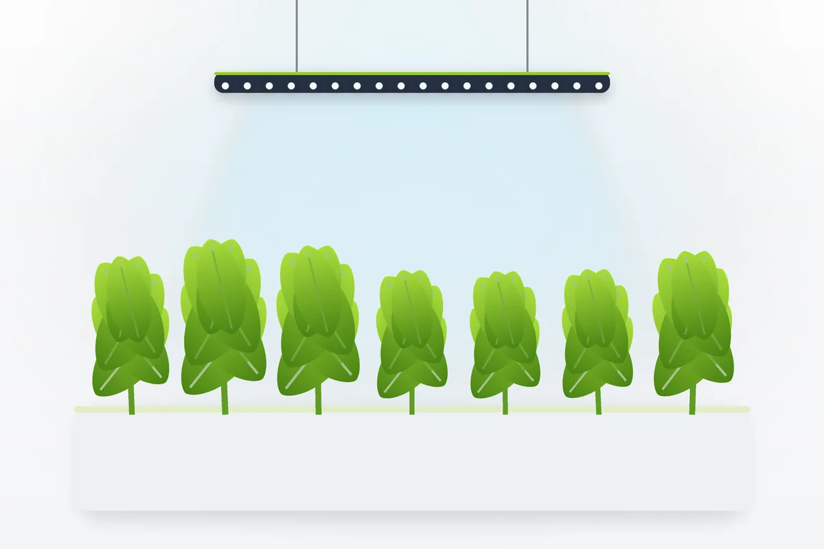 LED grow light running cost setup in the UK: a panel light over a tray of leafy seedlings on an indoor farm shelf